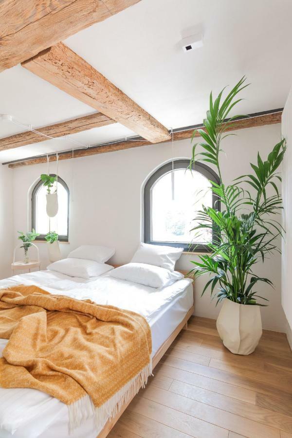 Apartamenty Monka Торунь Екстер'єр фото